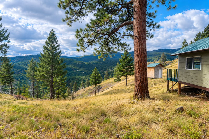 Comprehensive Land Review: 40-Acre Mountain Wilderness Retreat Bordering BLM Land in Drummond, MT