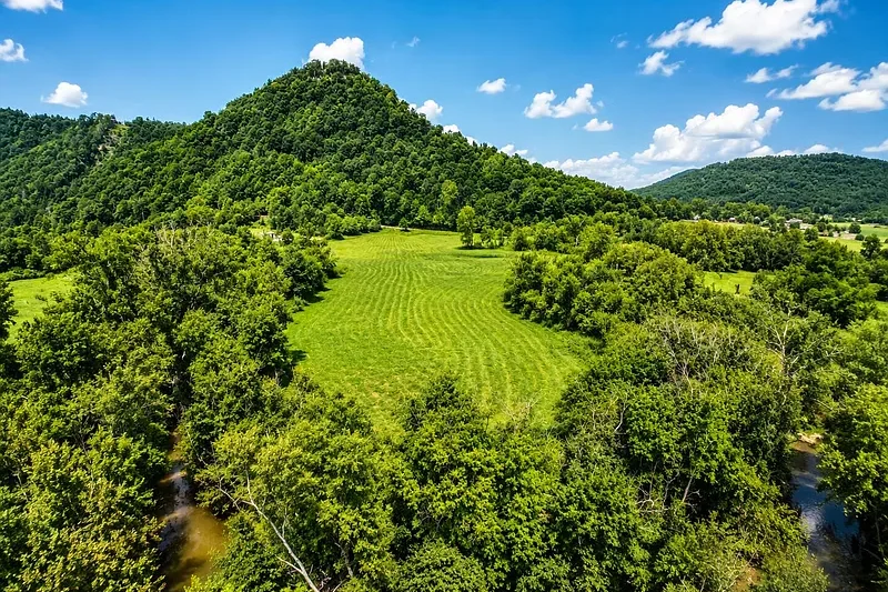 2924 Red Lick Rd Analysis: Is This $126K Kentucky Mountain Timberland a Prime Investment?