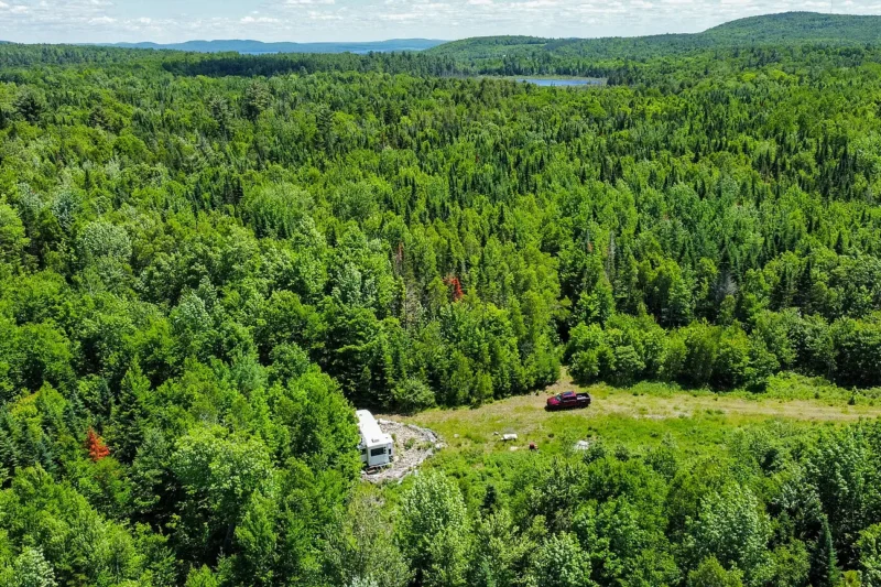 84-Acre Off-Grid Timberland & Beaver Pond Frontage on Lookout Lane, Springfield, ME ($79,900)