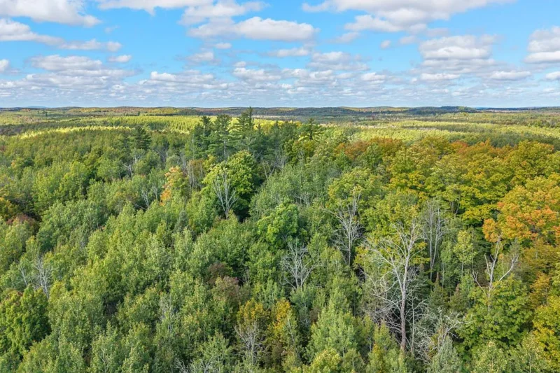 80 Acres Land for Sale in Menominee County MI: Adjoining CFR Public Land ($120,000)