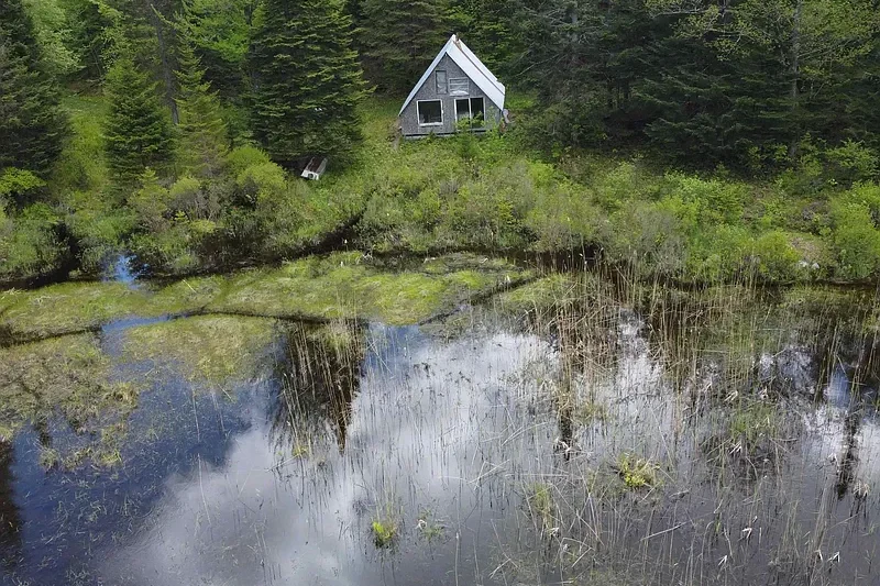 Off-Grid Wilderness Retreat or Costly Renovation Project? 805 Cobblestone Trail Deep-Dive Analysis