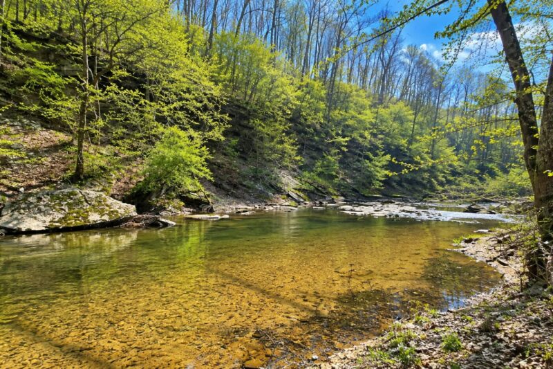 Under $190K Near Nashville: 8-Acre Creekside Meadow with 100-Ft Rock Cliff & Approved Septic