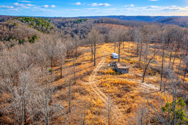 $1,750/Acre Wilderness Sanctuary: 40-Acres Bordering WMA Near the Buffalo River in Marshall, AR