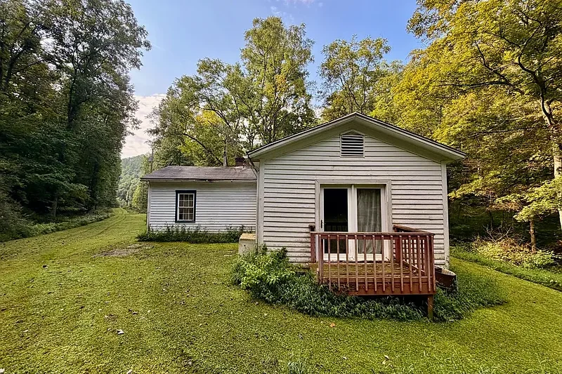 73.55-Acre West Virginia Mountain Sanctuary: Free Gas, Marketable Timber, and Endless Privacy on Elderberry Rd