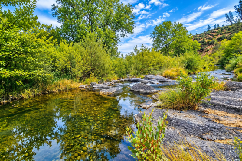 $990/Acre Off-Grid Paradise: 201 Acres of Rolling Wilderness with Private Well, Solar & Creek in Platina, CA