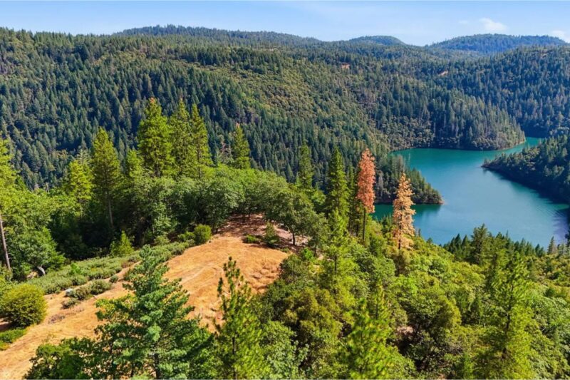 $7,250/Acre Foothill Foreclosure: 20-Acre Unrestricted BLM-Bordering Investment in Grass Valley, CA