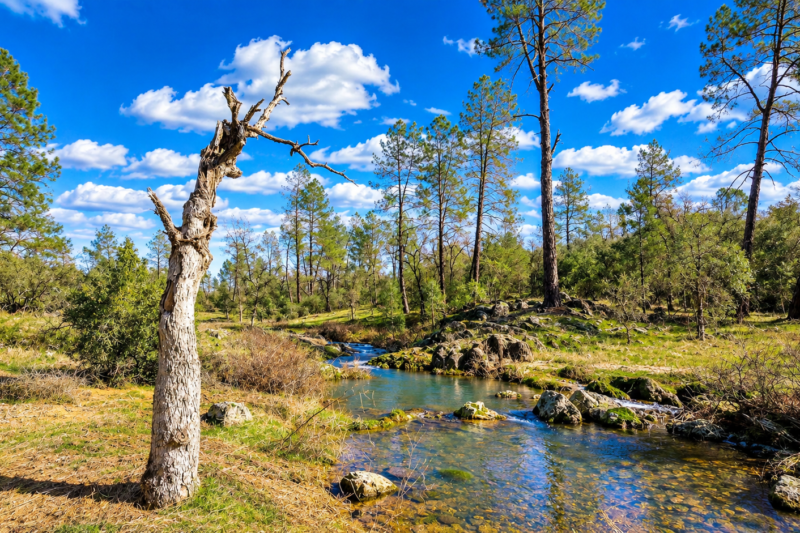 $2,225/Acre Off-Grid Paradise: 40 Acres of Mountain View Acreage with Year-Round Streams in NE Redding, CA