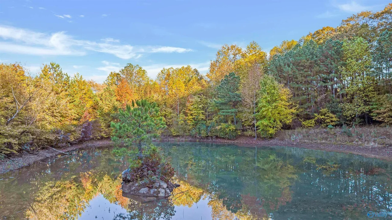 4.6 acre mountain land with pond at County Road 166 Fort Payne AL