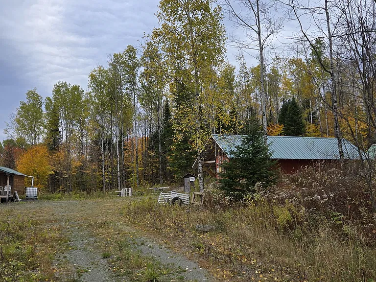 34 Acres in Maine for $115,000: A Private Woodland Retreat in Fort Kent