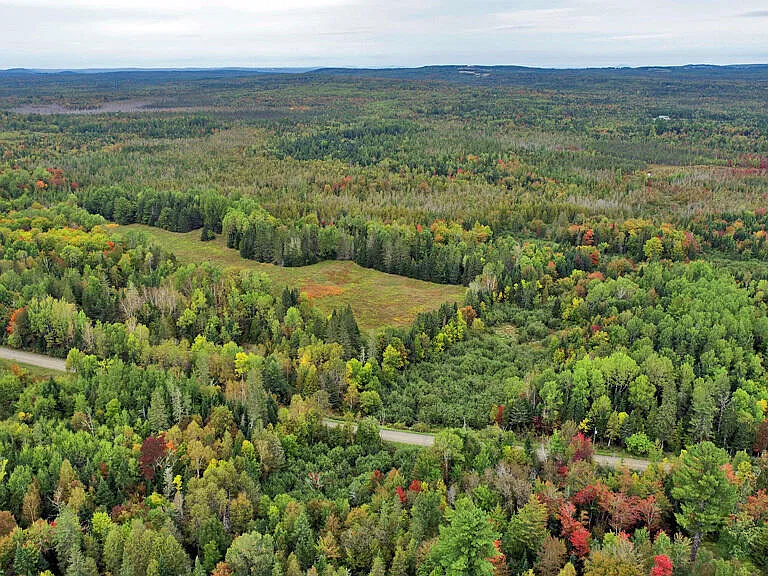 199 Acres in Cary Plantation, Maine for $129,900: An Off-Grid Log Cabin Retreat