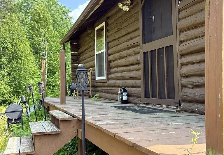40 Acres with a Log Cabin in Skandia, Michigan for $124,900