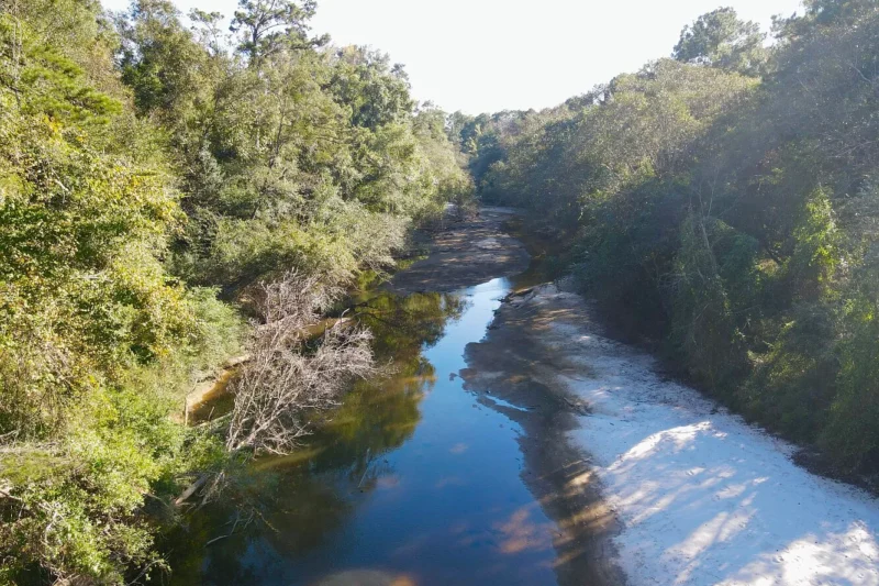 $123.6K Mississippi Dual-River Land: 61.8 Acres in Gulfport
