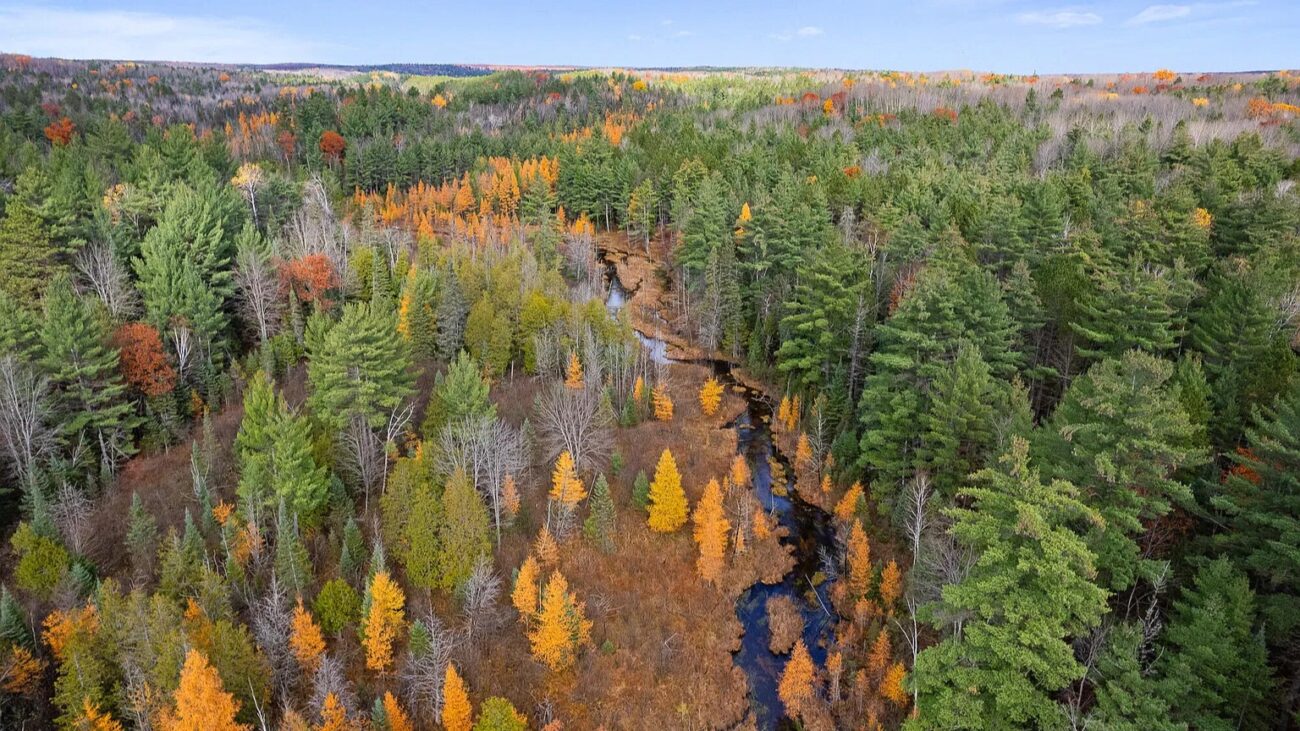 20 acre riverfront land at Glenrose Dr Wolverine MI