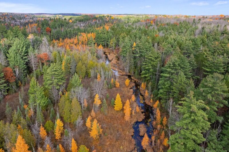$84.9K Michigan Riverfront Camp: 20 Acres in Wolverine