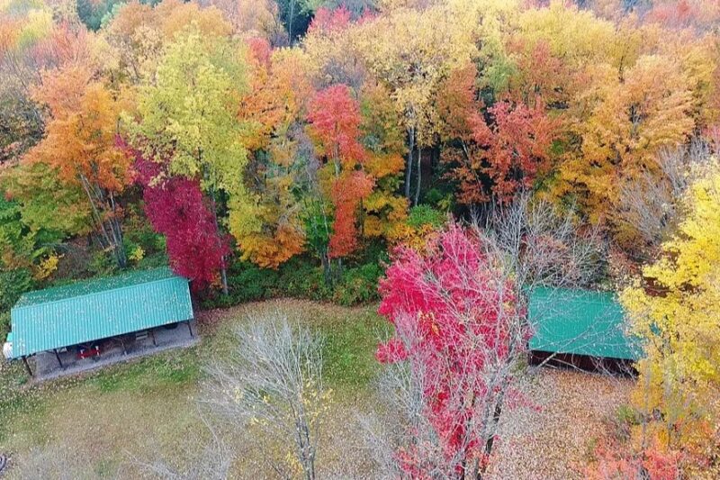$124.5K NY Off-Grid Hunting Camp: 36 Acres, RV & Barn in Hamilton