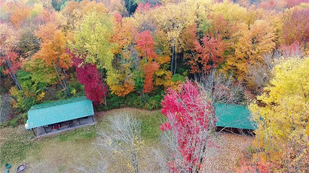 36 acre off grid hunting land at 26 Barnard Rd Hamilton NY