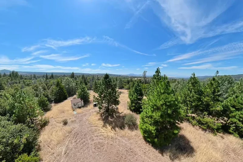 $95,000 Mountain Creek Frontage Sanctuary: 40-Acre Land Analysis in Manton, CA (0 Woodcutters Way)