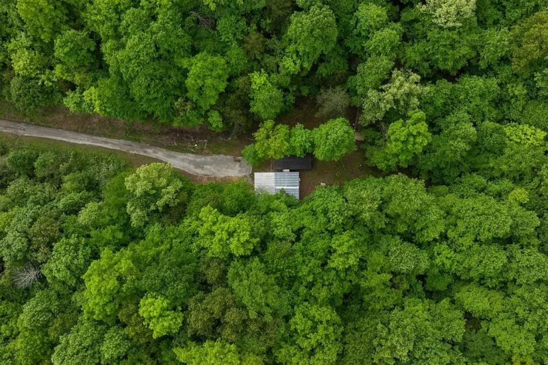 $145,000 Unrestricted Off-Grid Sanctuary: 15.26-Acre Land Analysis in Columbia, KY (2987 Chestnut Grove Rd)