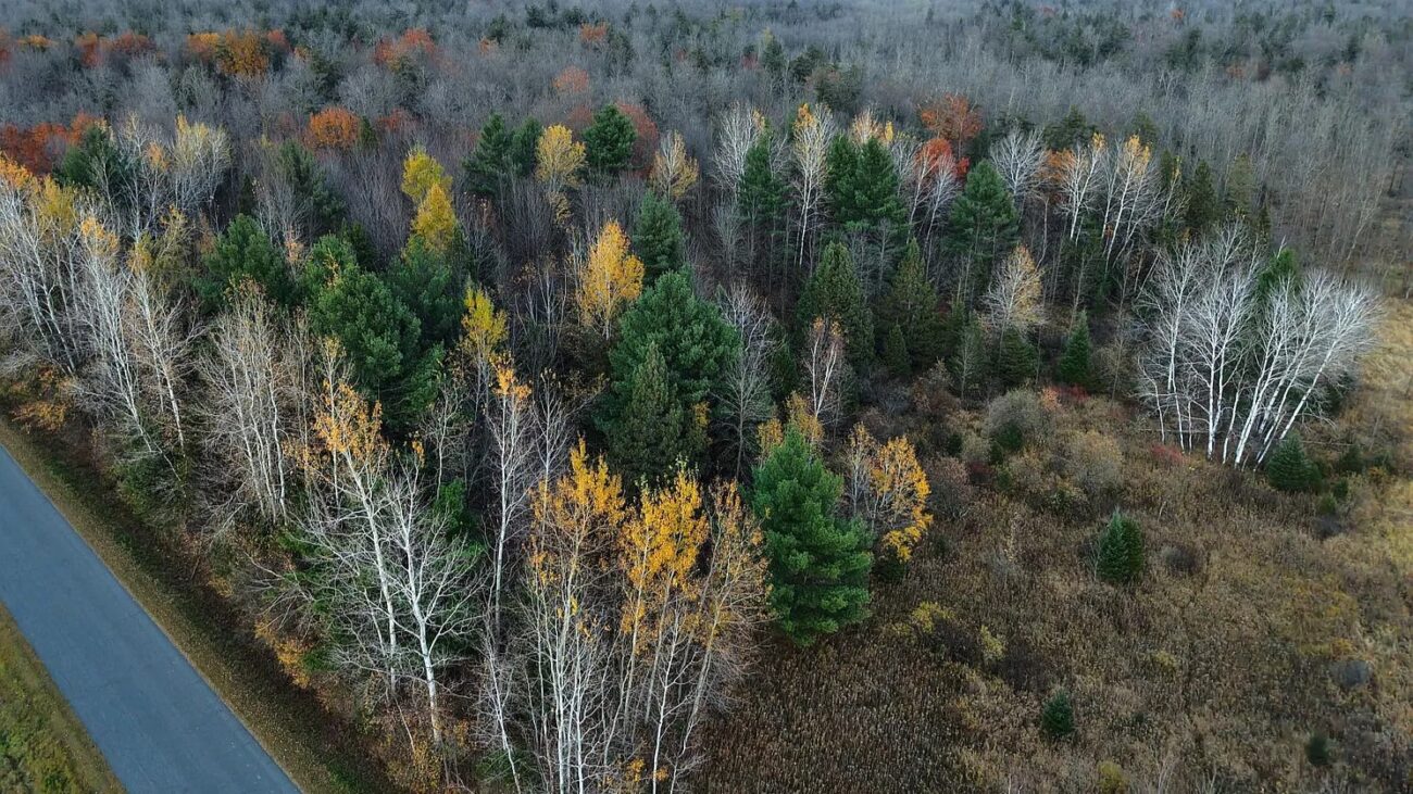 39.84 acre hunting land at 0 Larson Dr Medford WI