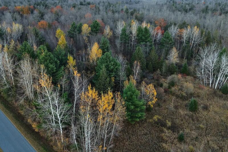 $144.9K Wisconsin Hunting Land: 39.84 Acres in Medford