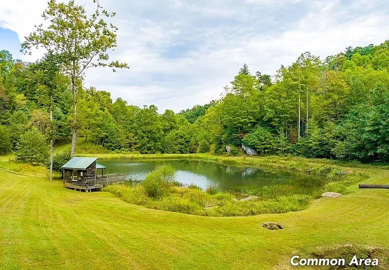 Fancy Gap Mountain Land Showcase: LOT 104 Spring Pond Trl, Fancy Gap, VA 24328